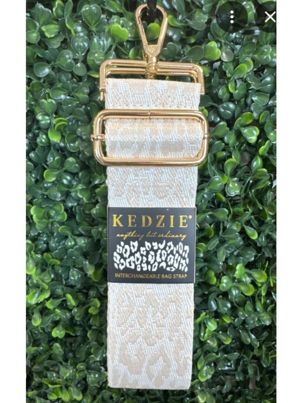 Kedzie 2 " Interchangeable Bag Strap Adjustable to 55"